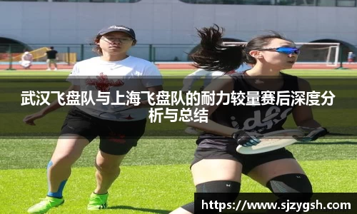 快盈VIII