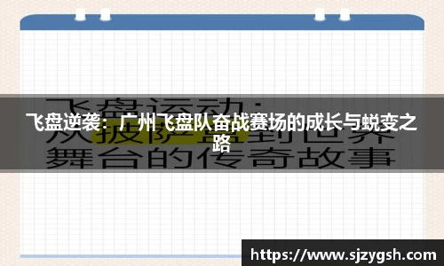 快盈VIII