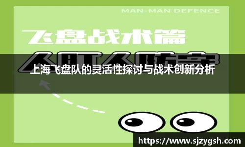 快盈VIII