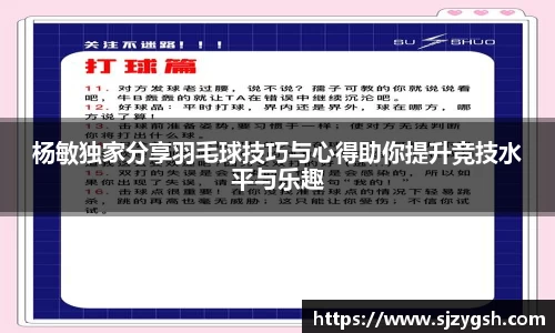 杨敏独家分享羽毛球技巧与心得助你提升竞技水平与乐趣