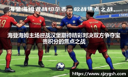 海登海姆主场迎战汉堡期待精彩对决双方争夺宝贵积分的焦点之战