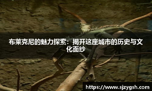 布莱克尼的魅力探索：揭开这座城市的历史与文化面纱