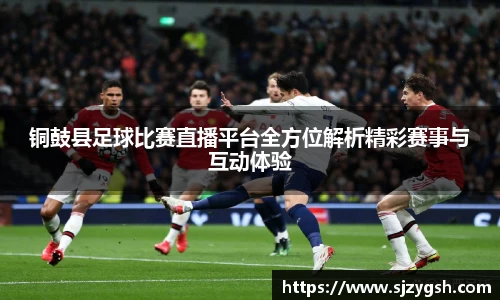 DB电竞官网